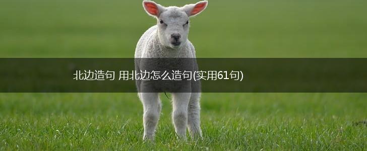 北边造句 用北边怎么造句(实用61句),第1张
