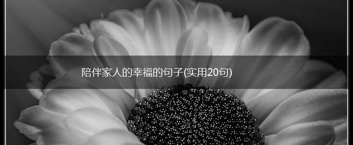 陪伴家人的幸福的句子(实用20句),第1张