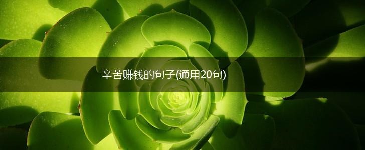 辛苦赚钱的句子(通用20句),第1张