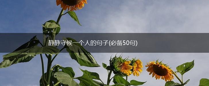 静静守候一个人的句子(必备50句),第1张