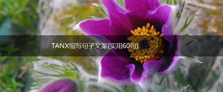 TANX缩写句子文案(实用60句),第1张