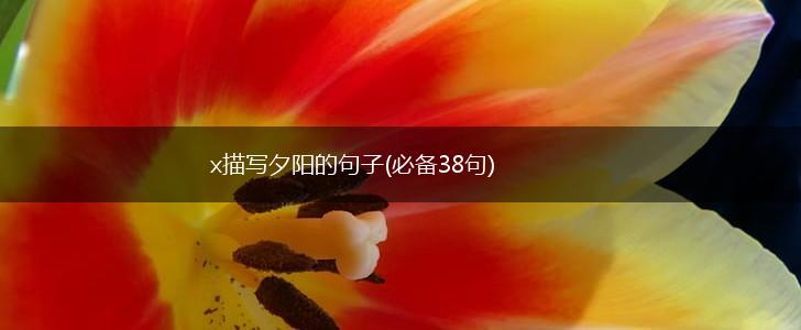 x描写夕阳的句子(必备38句),第1张