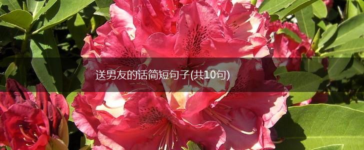 送男友的话简短句子(共10句),第1张