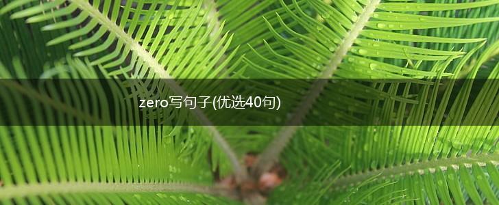 zero写句子(优选40句),第1张