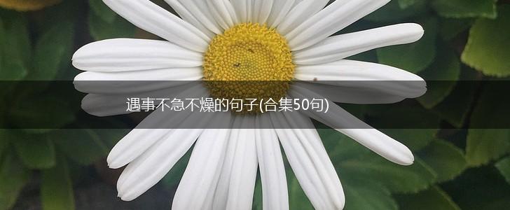 遇事不急不燥的句子(合集50句),第1张