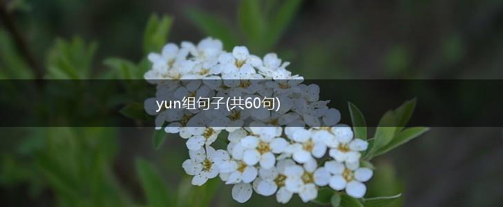 yun组句子(共60句),第1张