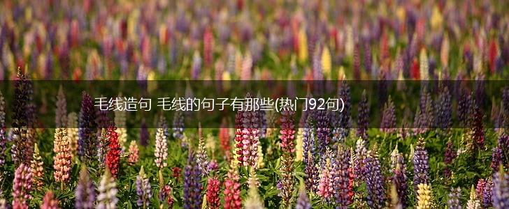 毛线造句 毛线的句子有那些(热门92句),第1张