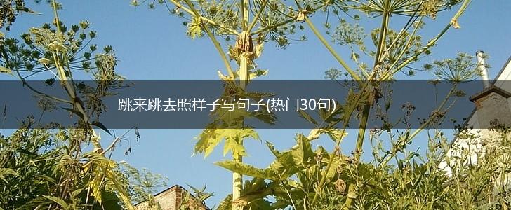 跳来跳去照样子写句子(热门30句),第1张
