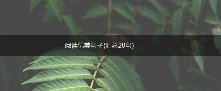 阅读优美句子(汇总20句),第1张