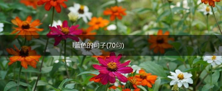 l蓝色的句子(70句),第1张