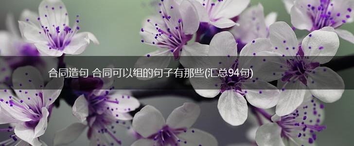 合同造句 合同可以组的句子有那些(汇总94句),第1张