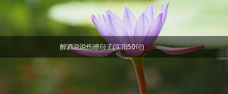 醉酒说说伤感句子(实用50句),第1张