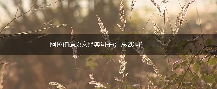 阿拉伯语原文经典句子(汇总20句),第1张