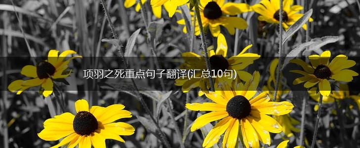 项羽之死重点句子翻译(汇总10句),第1张