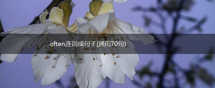 often连词成句子(通用70句),第1张