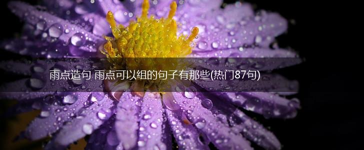 雨点造句 雨点可以组的句子有那些(热门87句),第1张