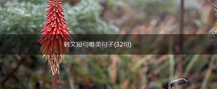 韩文短句唯美句子(32句),第1张