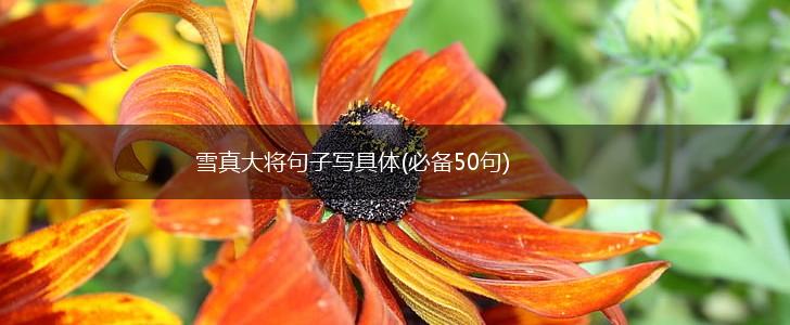 雪真大将句子写具体(必备50句),第1张
