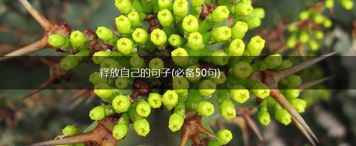 释放自己的句子(必备50句),第1张