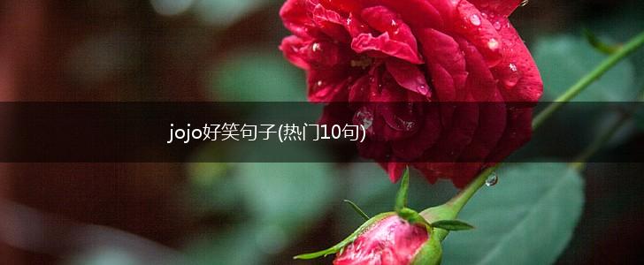 jojo好笑句子(热门10句),第1张