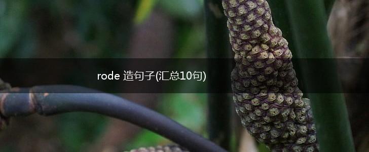 rode 造句子(汇总10句),第1张