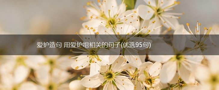 爱护造句 用爱护组相关的句子(优选95句),第1张