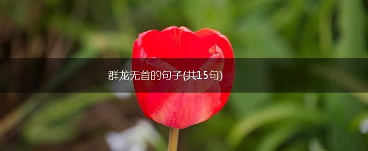 群龙无首的句子(共15句),第1张