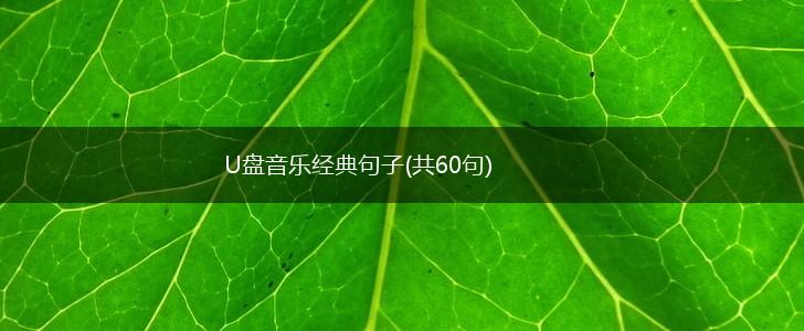 U盘音乐经典句子(共60句),第1张