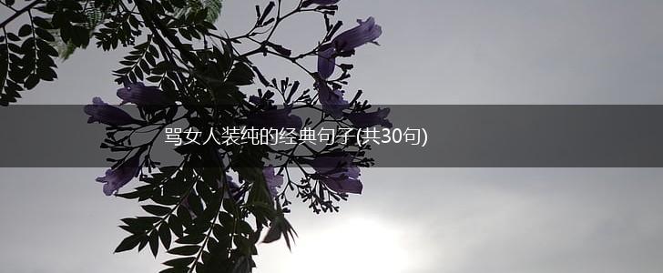 骂女人装纯的经典句子(共30句),第1张 骂女人装纯的经典句子(共30句),第1张