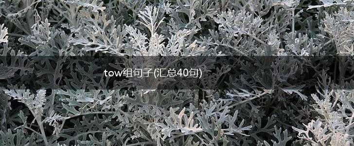 tow组句子(汇总40句),第1张