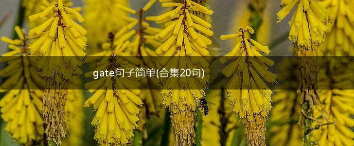 gate句子简单(合集20句),第1张