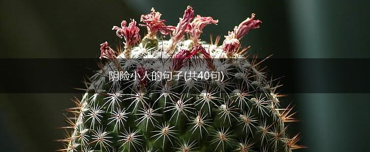 阴险小人的句子(共40句),第1张