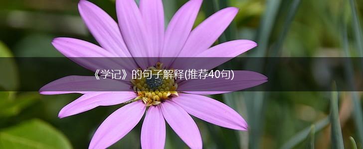《学记》的句子解释(推荐40句),第1张