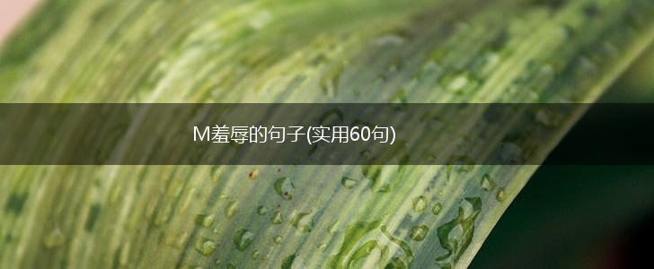 M羞辱的句子(实用60句),第1张
