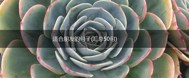 适合朋友的句子(汇总50句),第1张