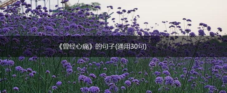 《曾经心痛》的句子(通用30句),第1张