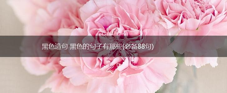 黑色造句 黑色的句子有那些(必备88句),第1张