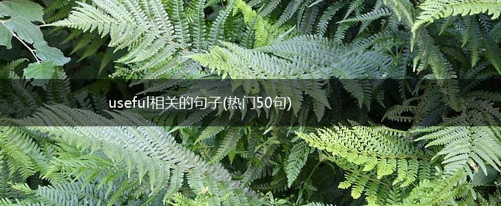 useful相关的句子(热门50句),第1张