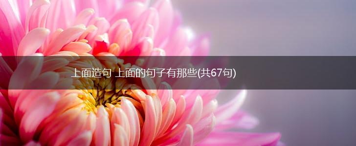 上面造句 上面的句子有那些(共67句),第1张