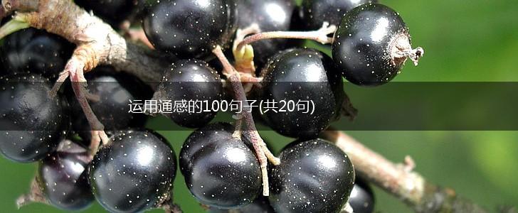 运用通感的100句子(共20句),第1张