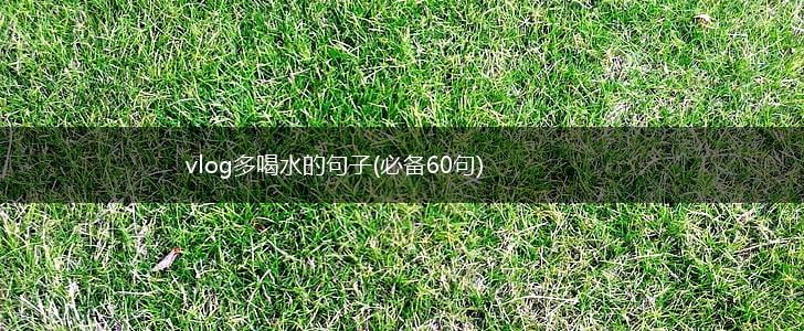 vlog多喝水的句子(必备60句),第1张