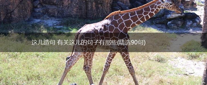 这儿造句 有关这儿的句子有那些(精选90句),第1张