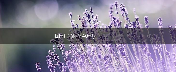 fzl句子(必备40句),第1张