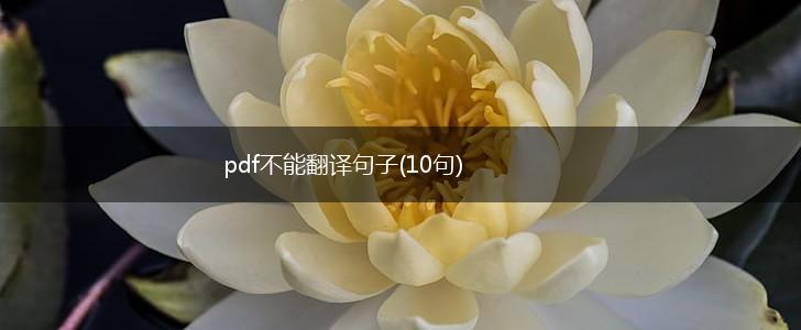 pdf不能翻译句子(10句),第1张