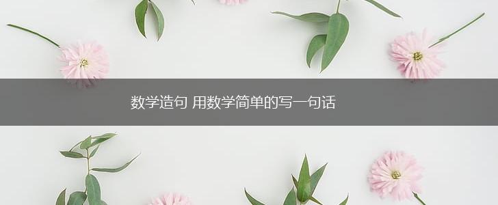 数学造句 用数学简单的写一句话,第1张