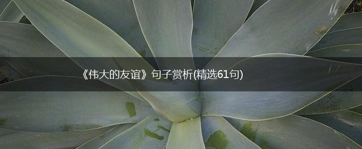 《伟大的友谊》句子赏析(精选61句),第1张