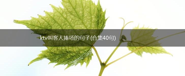 ktv叫客人捧场的句子(合集40句),第1张