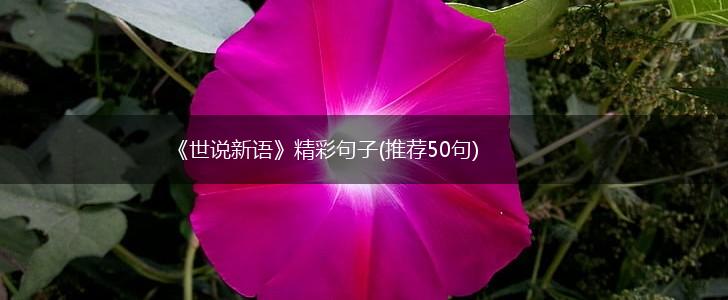 《世说新语》精彩句子(推荐50句),第1张