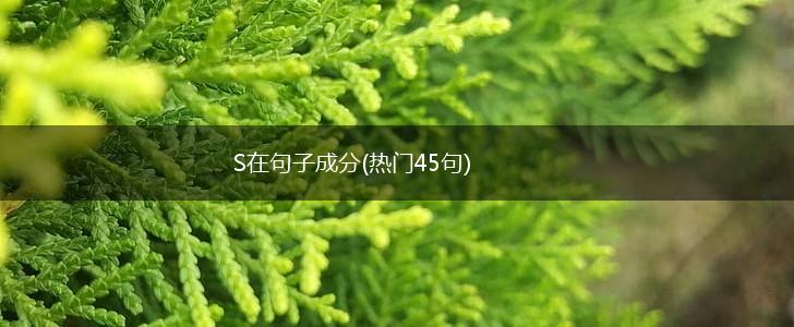 S在句子成分(热门45句),第1张