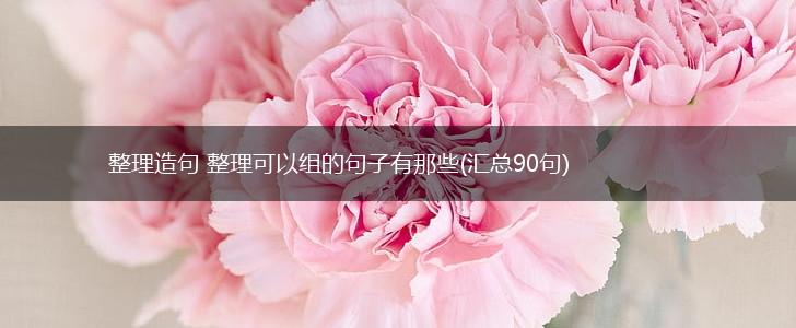 整理造句 整理可以组的句子有那些(汇总90句),第1张